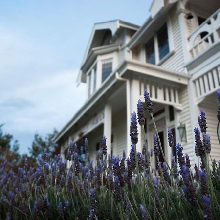 Hostal Vynfields Martinborough Exterior foto