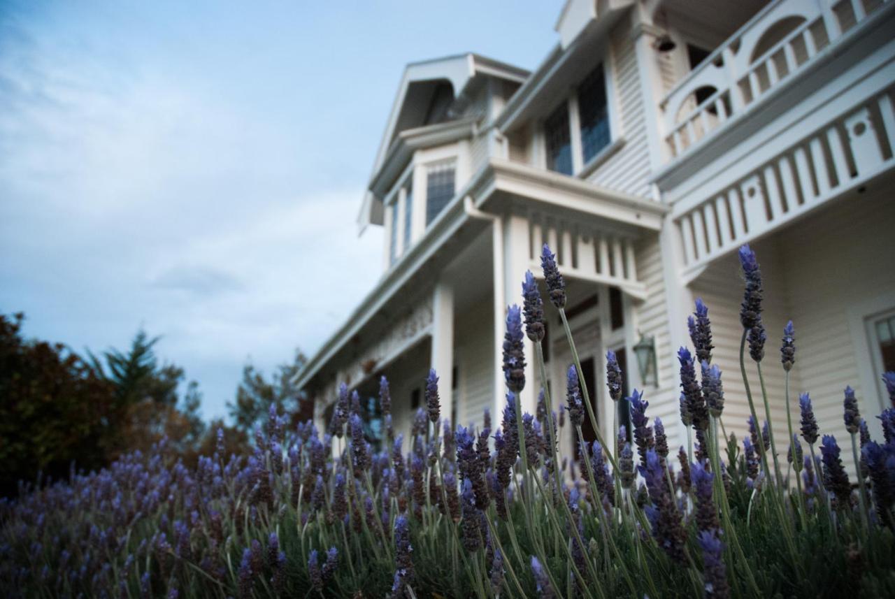 Hostal Vynfields Martinborough Exterior foto
