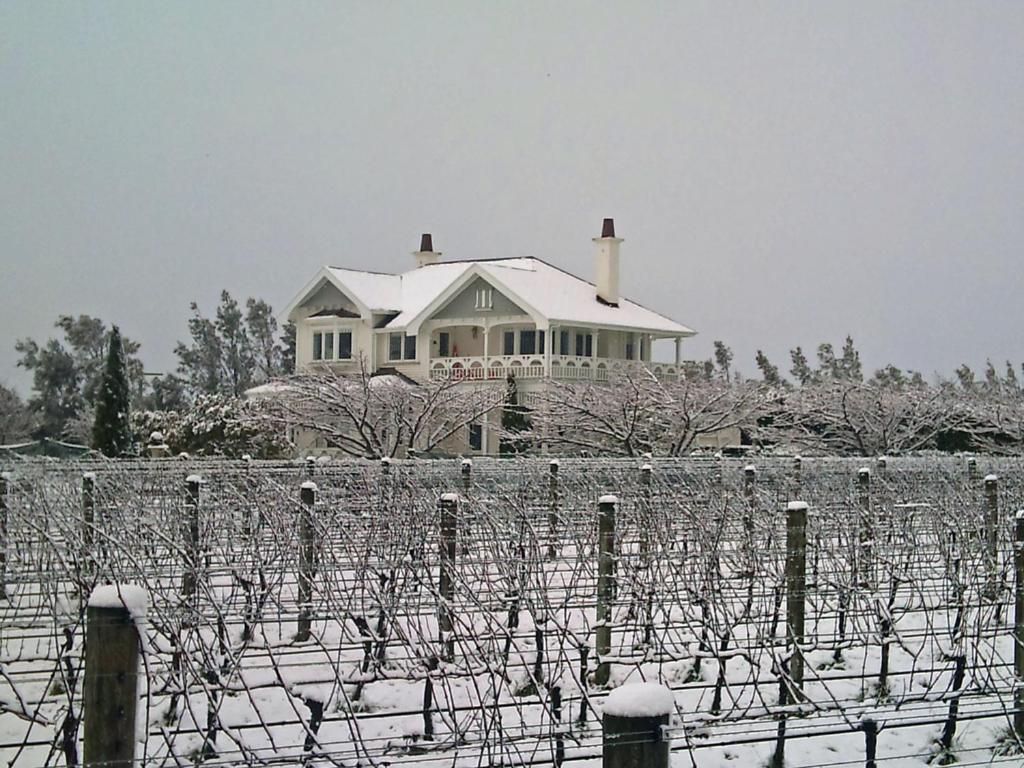Hostal Vynfields Martinborough Exterior foto